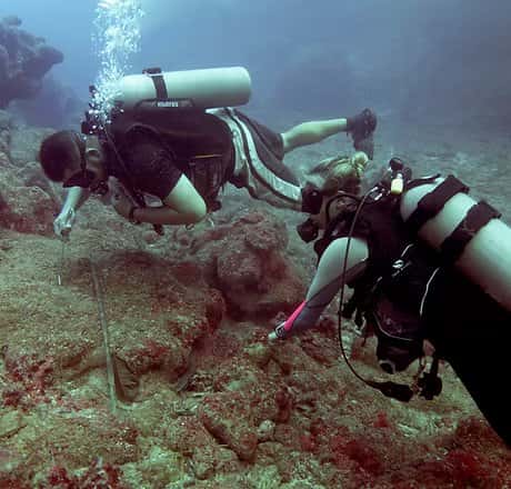 Jackson's Dive Center — photo 5