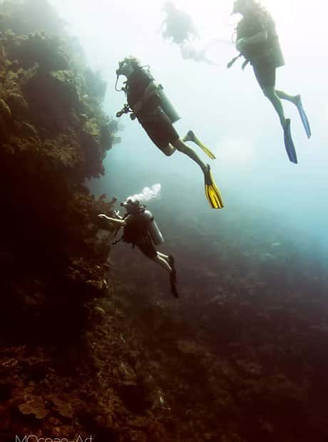 Jackson's Dive Center — photo 3