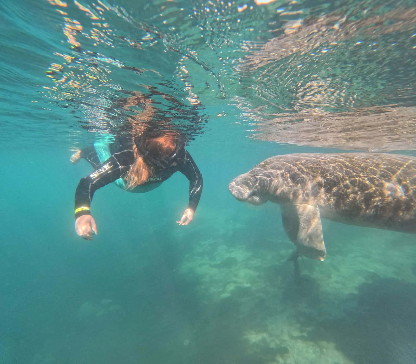 SeaDaddy's Adventures — photo 2