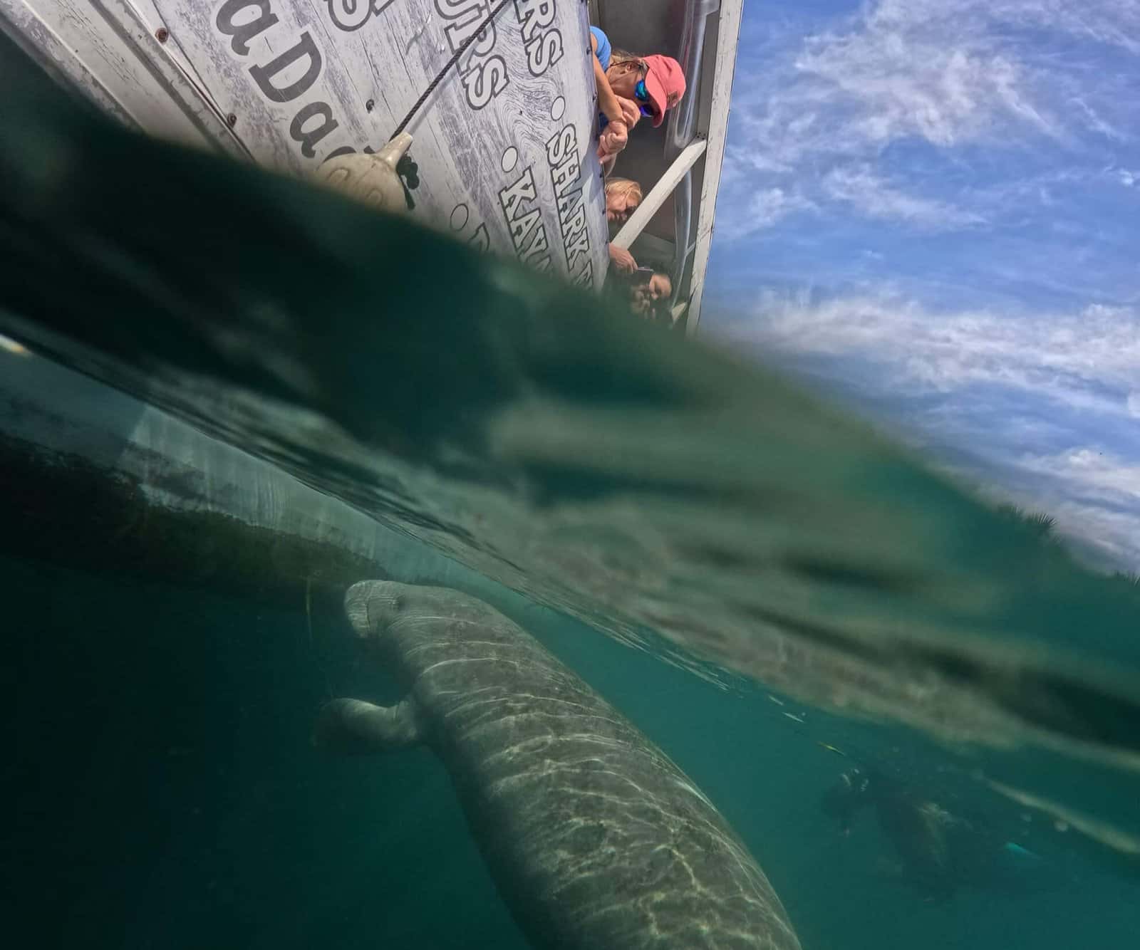 SeaDaddy's Adventures