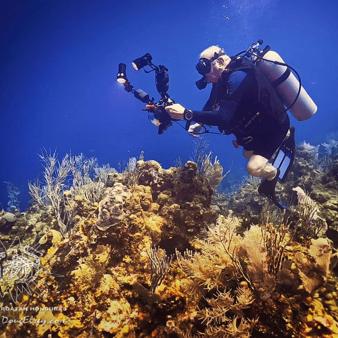 Octopus Dive School