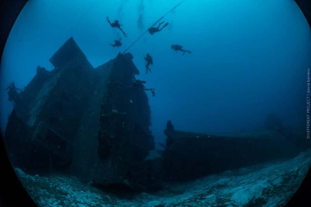 Octopus Dive School — photo 5