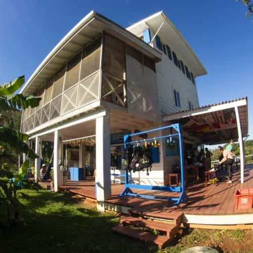 Octopus Dive School — photo 4