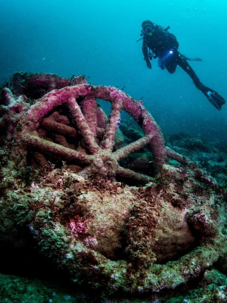 Skin Deep Diving