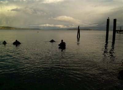 Lighthouse Diving Center
