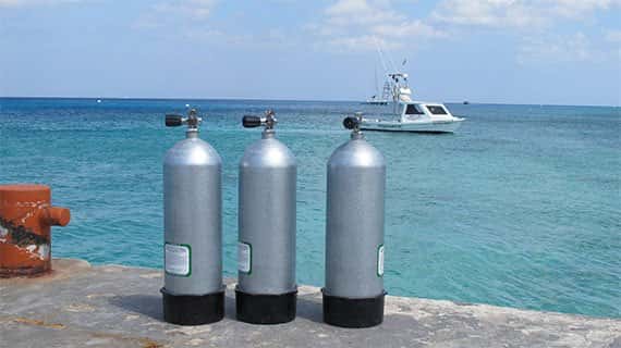 Cozumel Marine World — photo 3