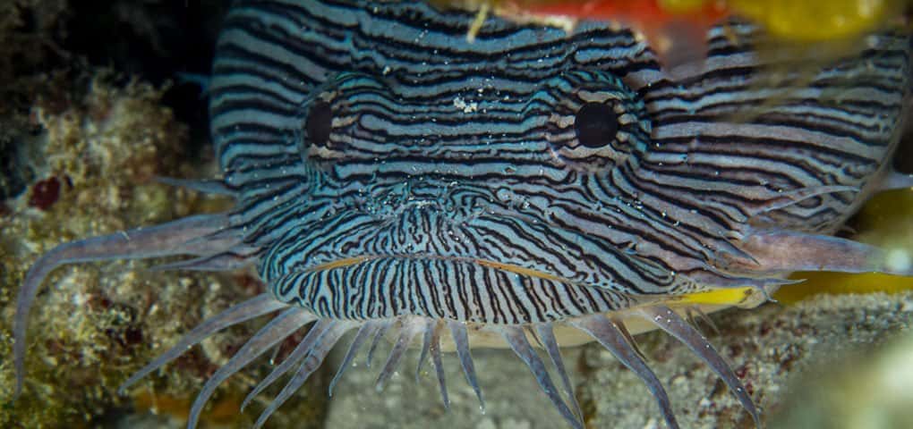 Cozumel Marine World — photo 2