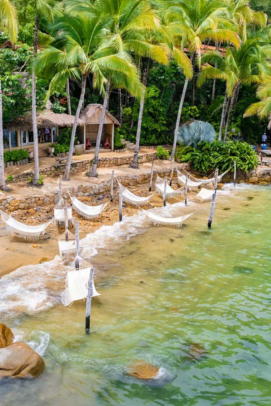Vallarta Adventures — photo 4