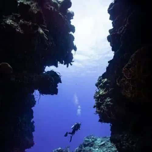 Acuaticaribe — photo 4