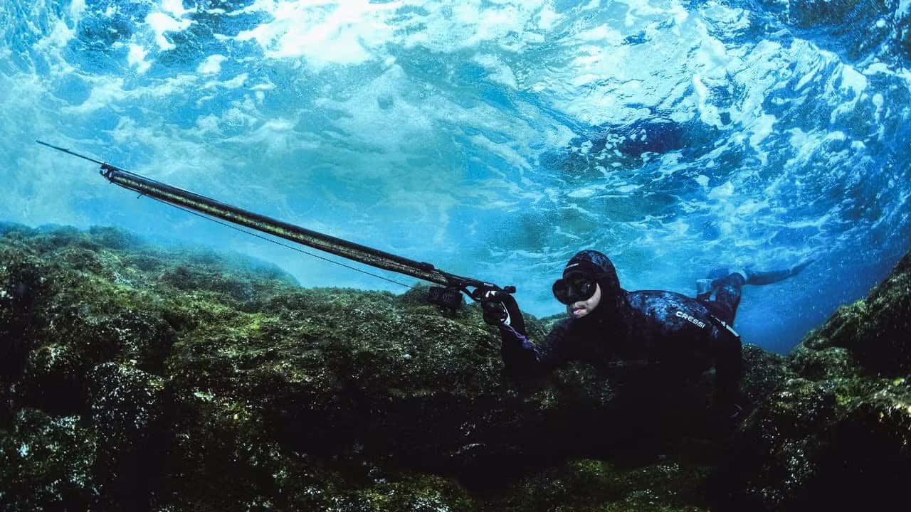 Miami Blue Diving