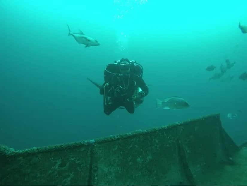 Emerald Ocean Dive Charters — photo 2
