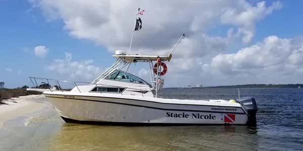 Emerald Ocean Dive Charters — photo 4