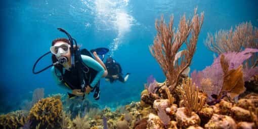 International Scuba