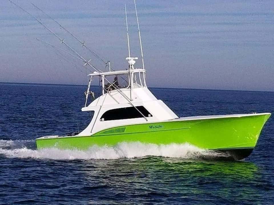 Wasabi Sportfishing