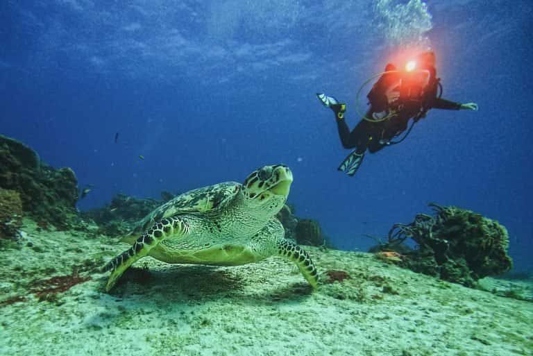 Columbus Scuba — photo 4