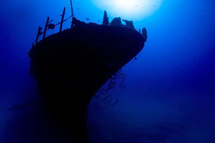 Hawaii Eco Divers & Surf Adventures