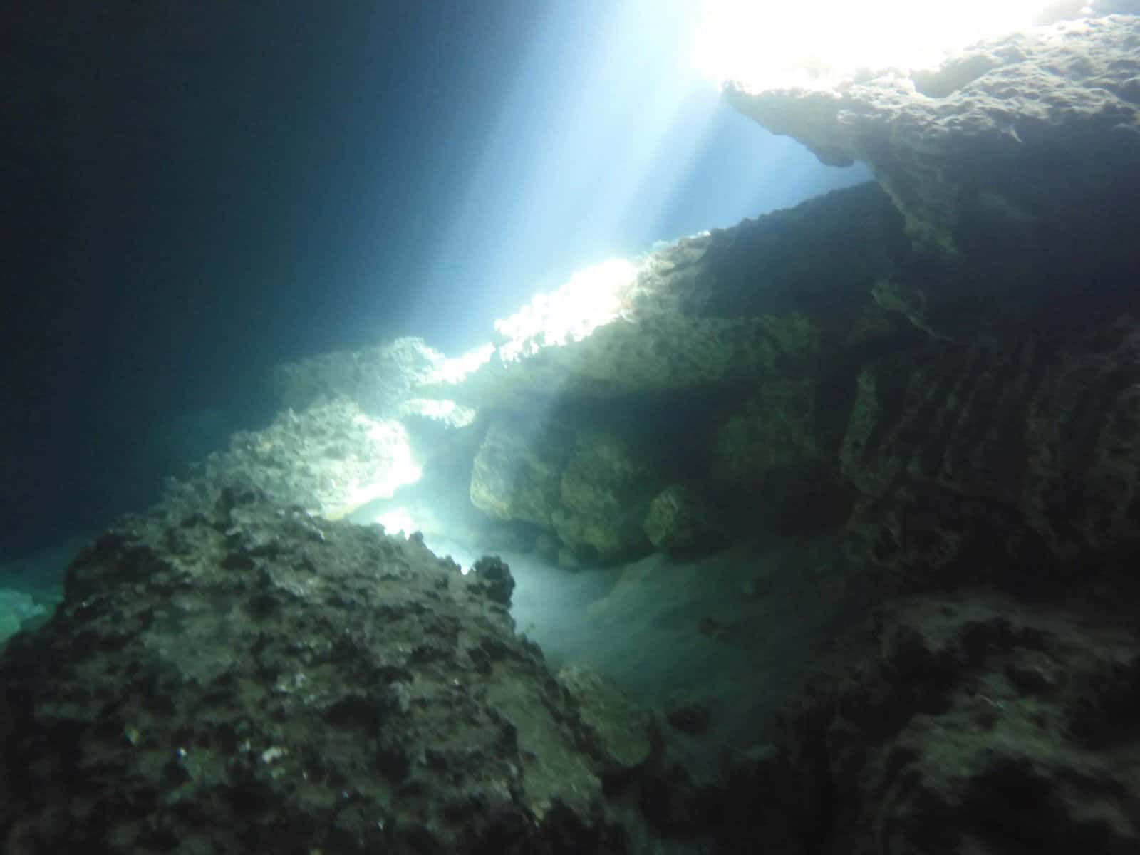 Florida Gulf Coast Scuba