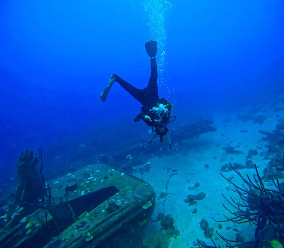 Epsilon Dive Center — photo 5