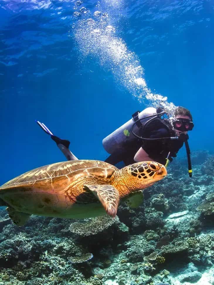 Epsilon Dive Center