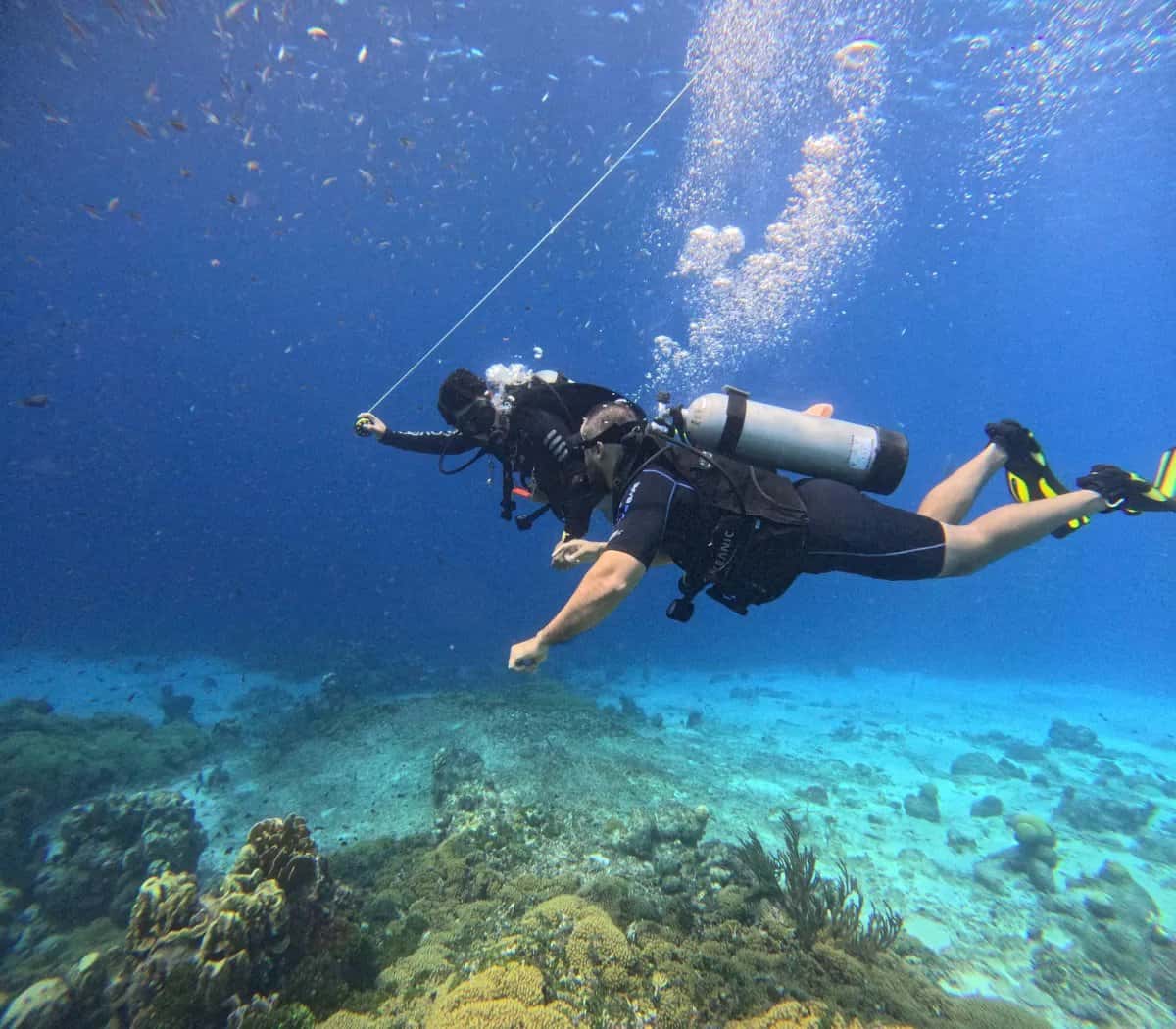 Epsilon Dive Center — photo 4