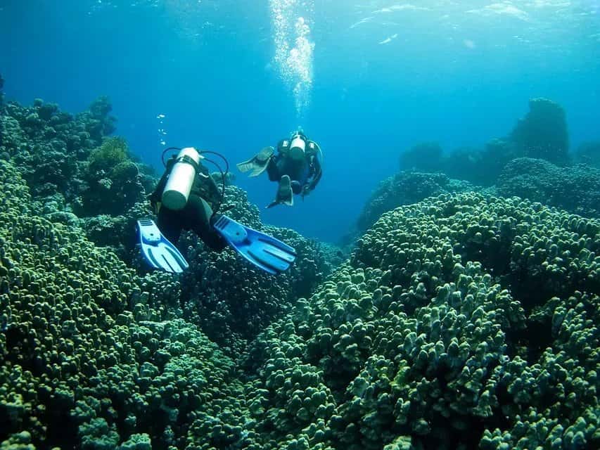 Epsilon Dive Center — photo 3