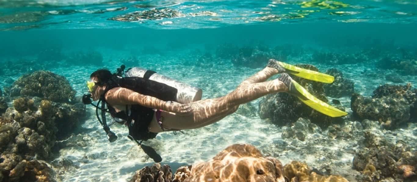Caribbean Pro Dive Center — photo 3
