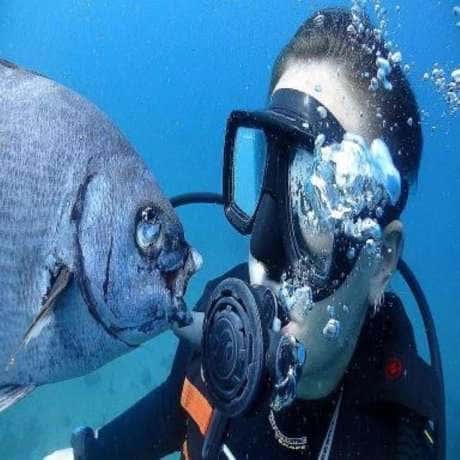 Poseidon Dive Center — photo 2