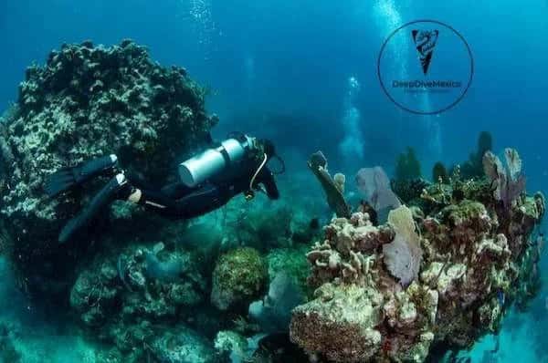 DeepDiveMexico — photo 3