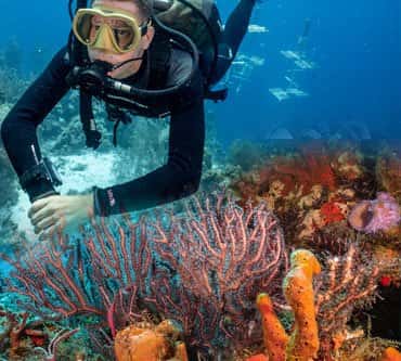 Ocean Quest Scuba