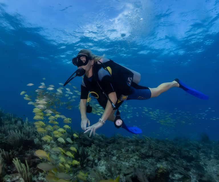 Mundaca Divers — photo 5