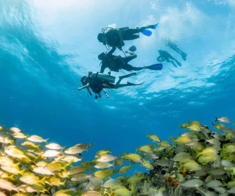 Mundaca Divers — photo 4
