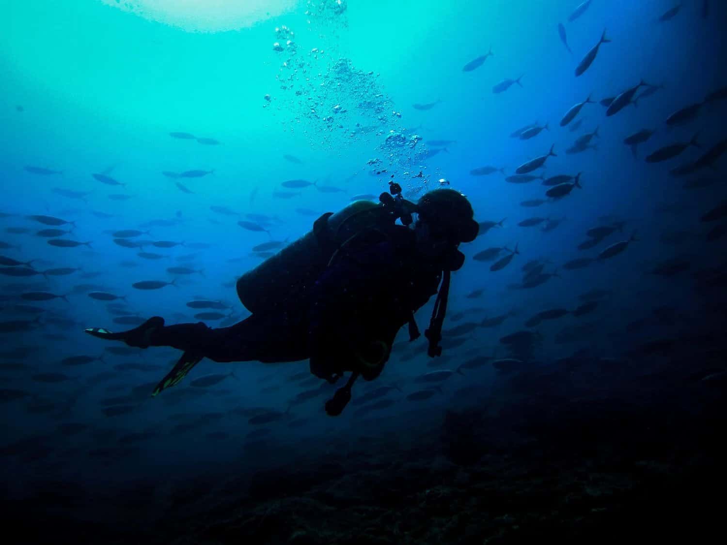 Hurricane Divers — photo 4