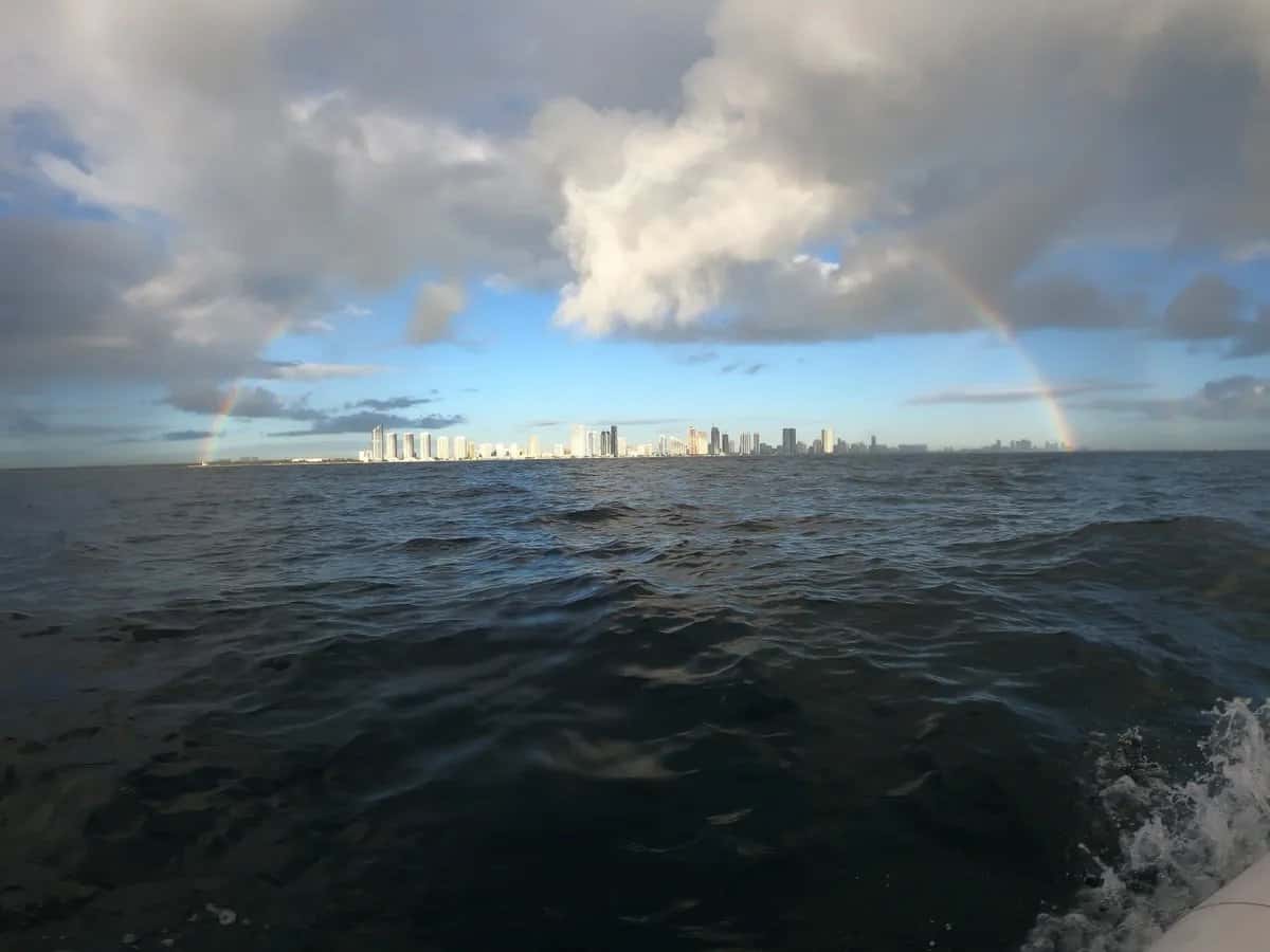 SOFLO SPEARFISHING