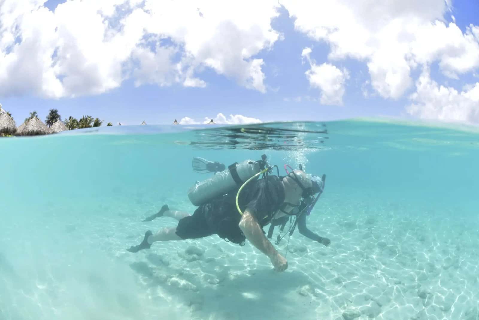 Blue Bay Dive
