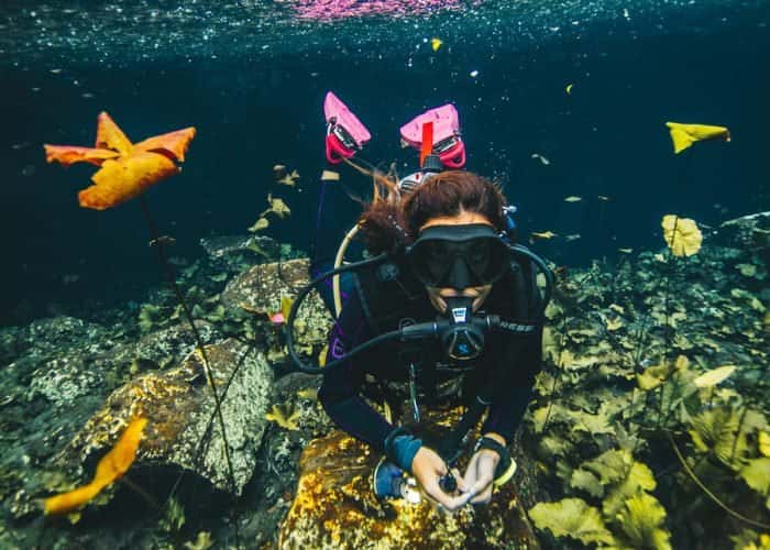 Good Vibes Diving