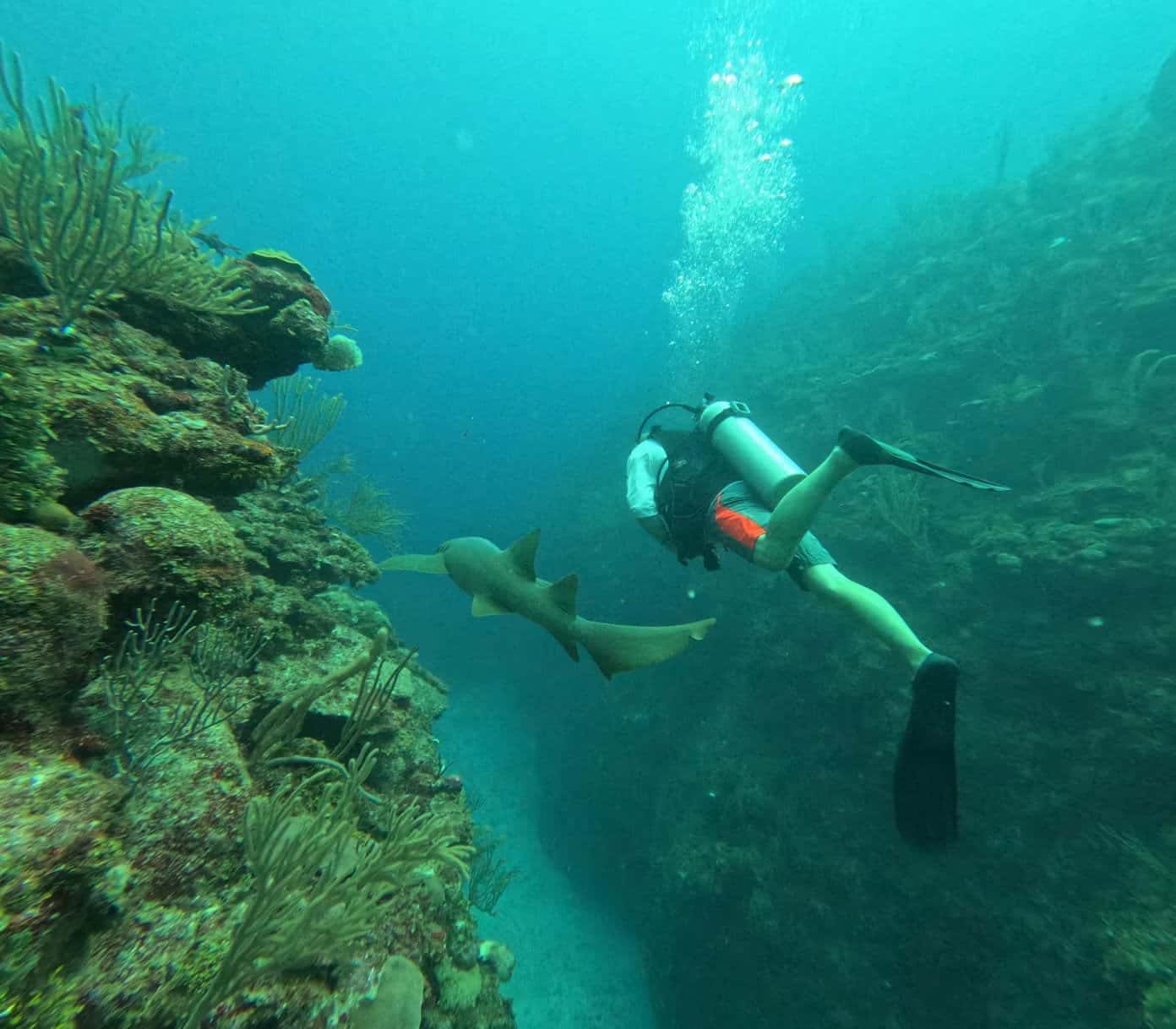 White Sands Dive Shop — photo 5