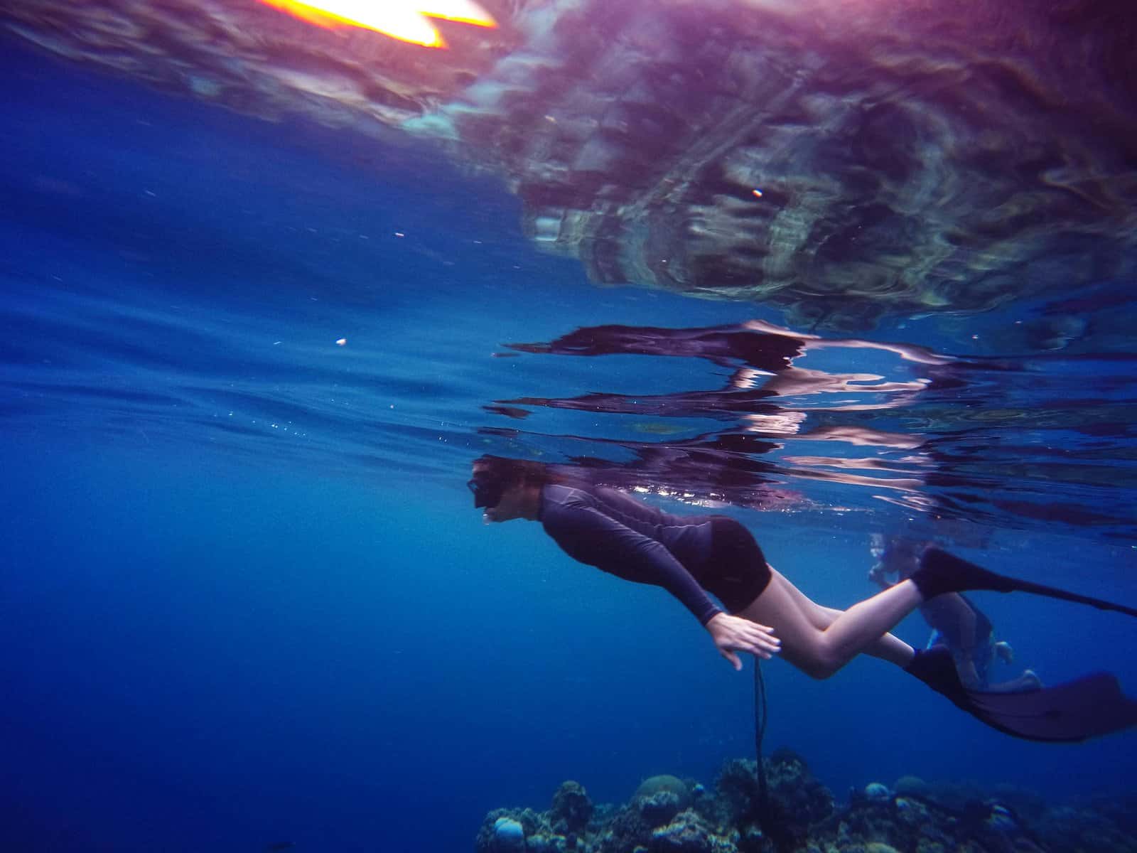 White Sands Dive Shop — photo 4