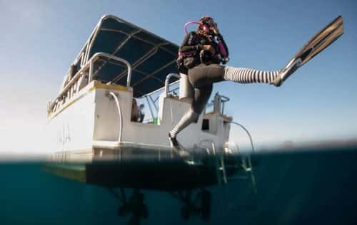 Blue Wave Dive Center — photo 4