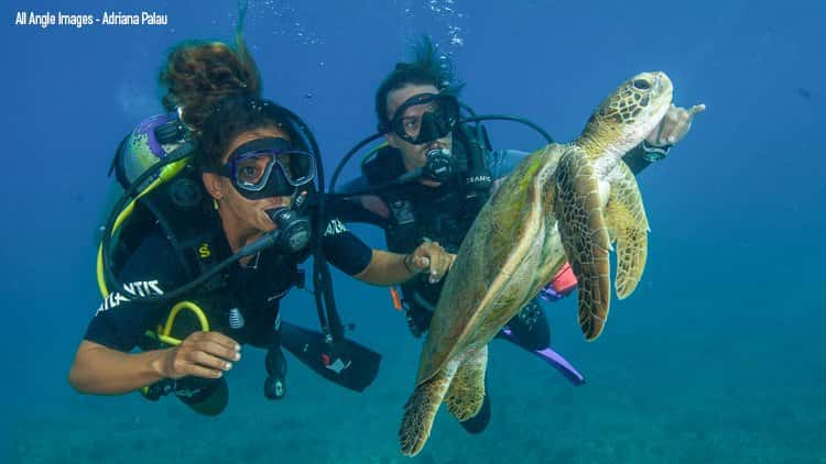 Atlantis Divers