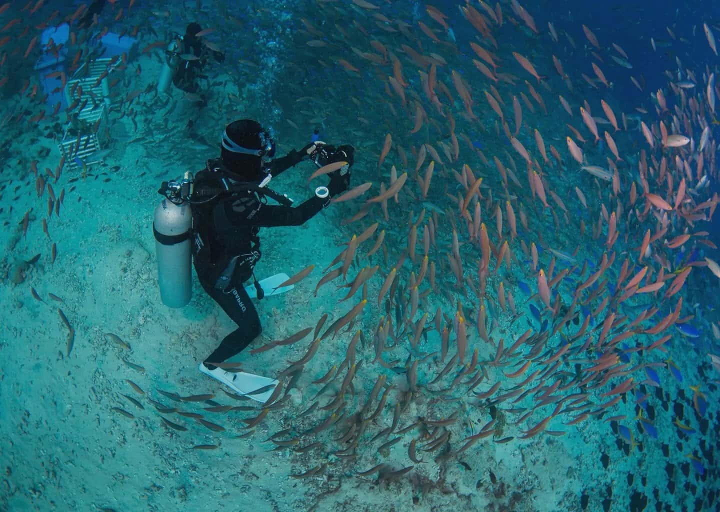 Diver Dan's — photo 2