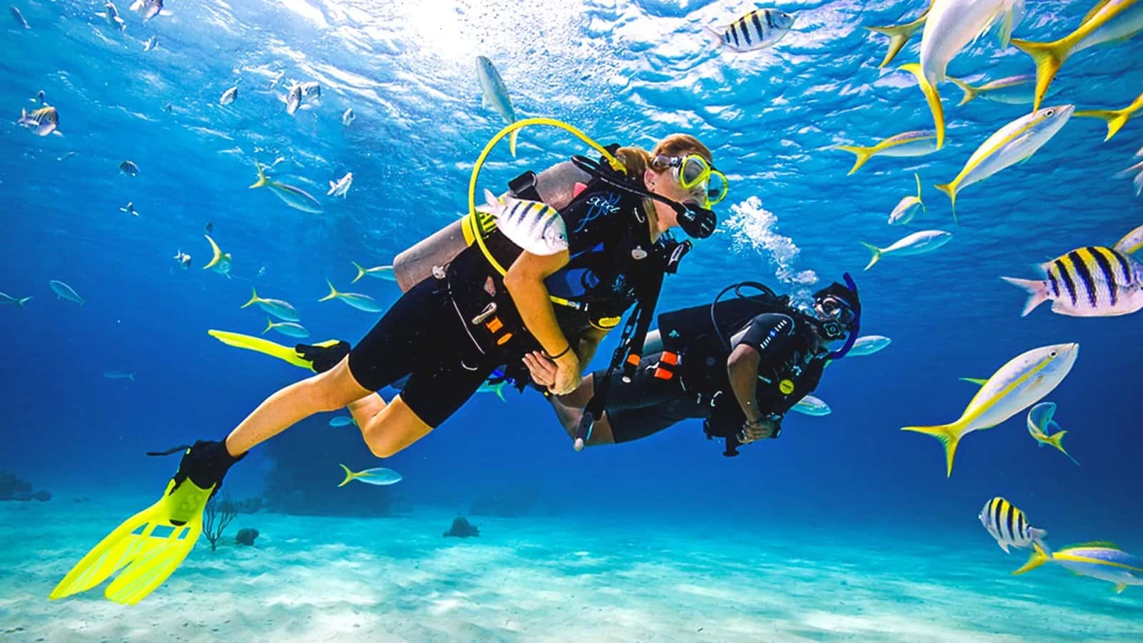 Into The Blue Scuba — photo 2