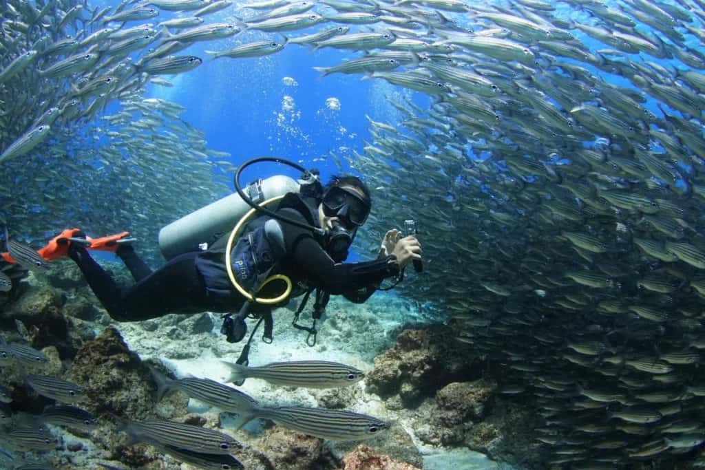 Scuba Iguana — photo 2