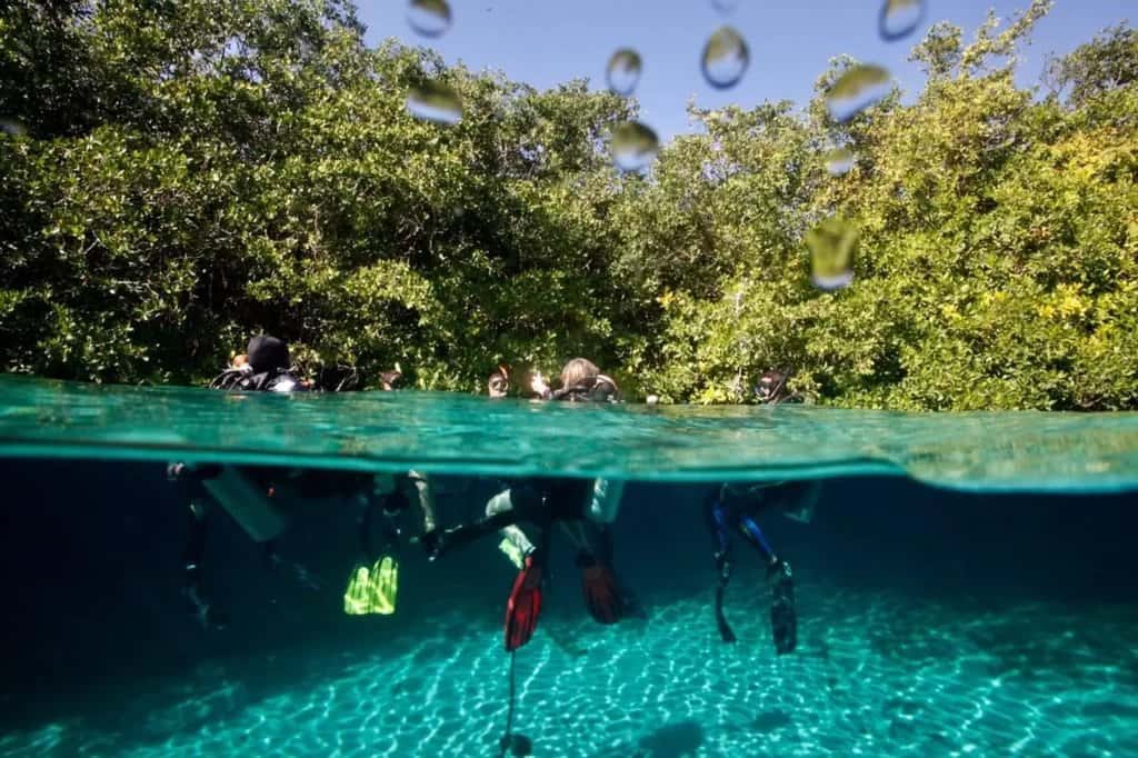 Infinity2Diving — photo 2
