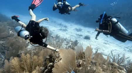 Infinity2Diving — photo 4