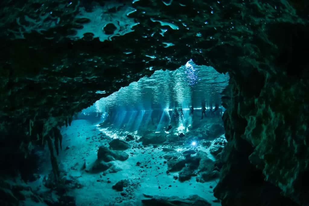 Infinity2Diving — photo 3