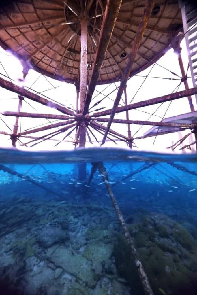 Silent World Dive Center — photo 2
