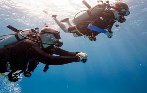 Safety Stop Scuba — photo 2