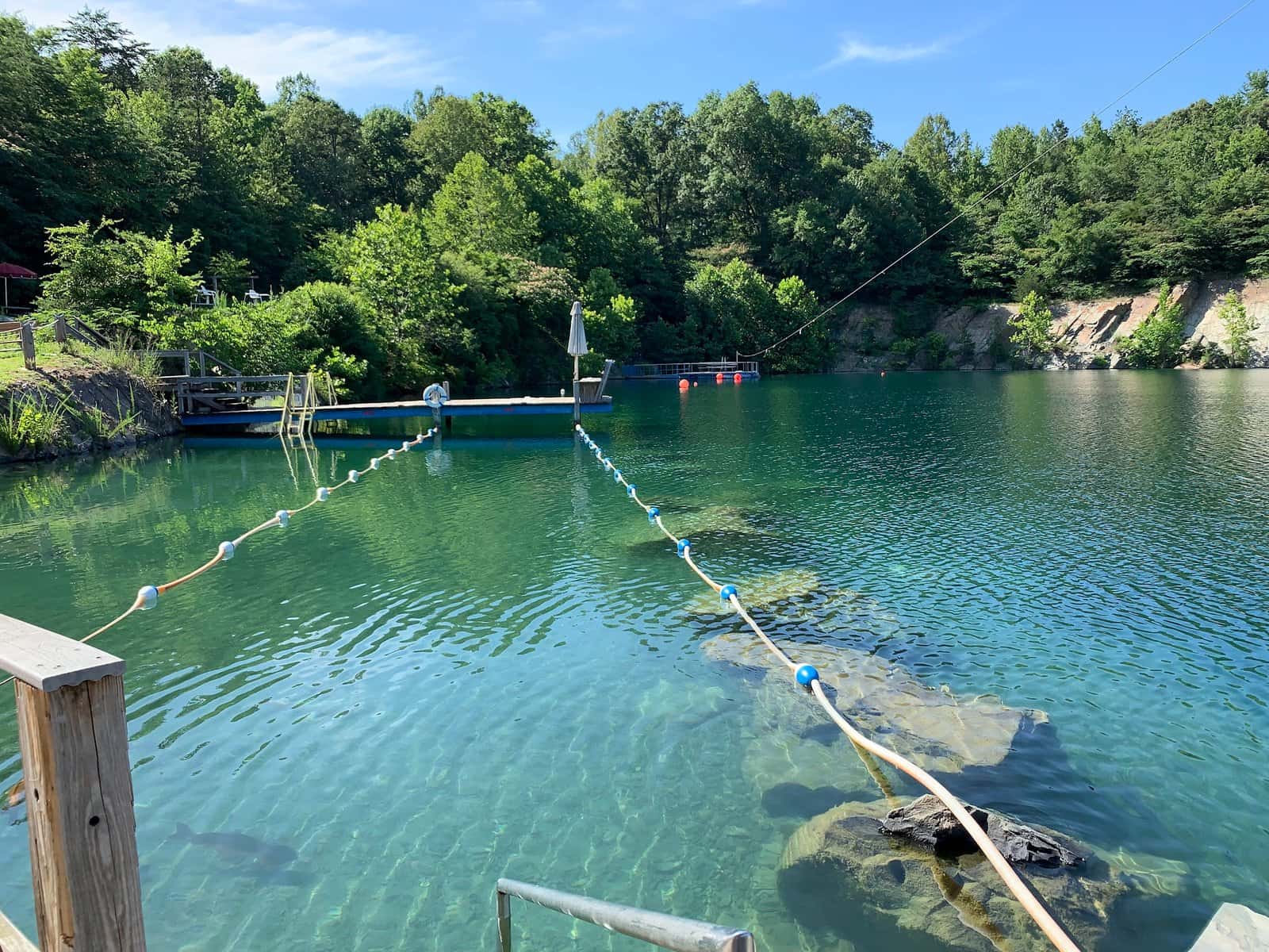 Sink or Swim Scuba