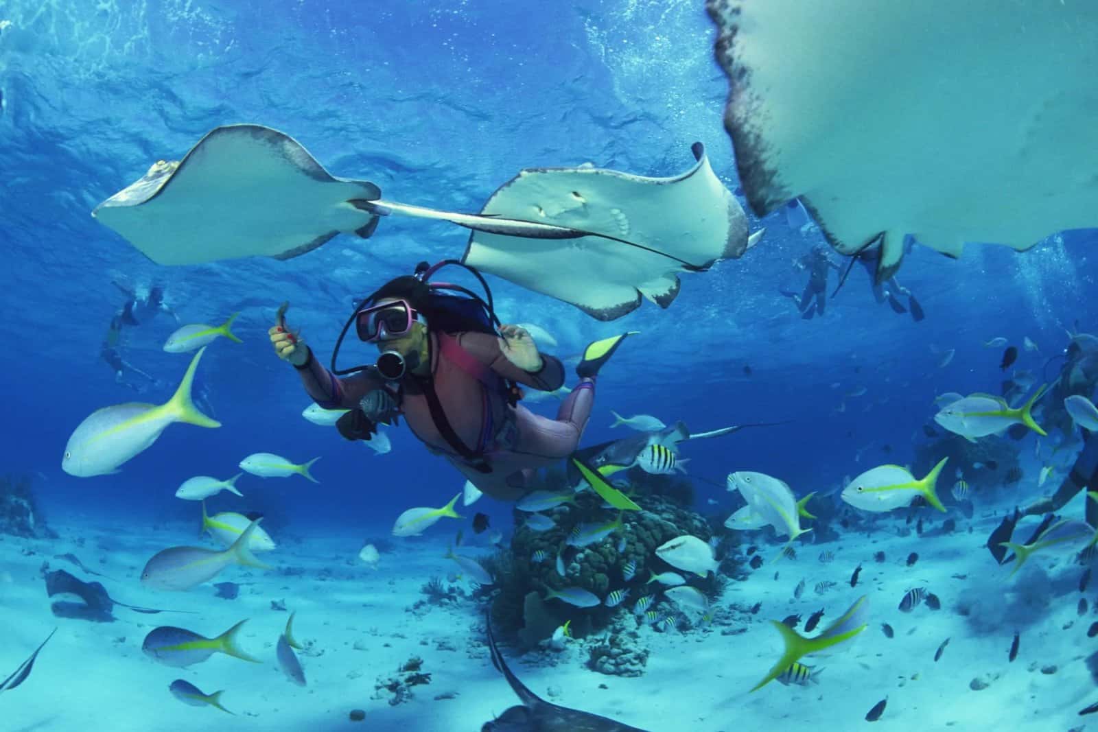Oceanside Scuba and Swim