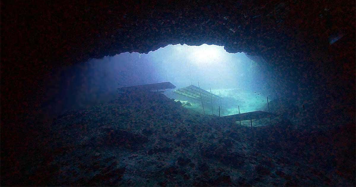 Blue Grotto Dive Resort — photo 2